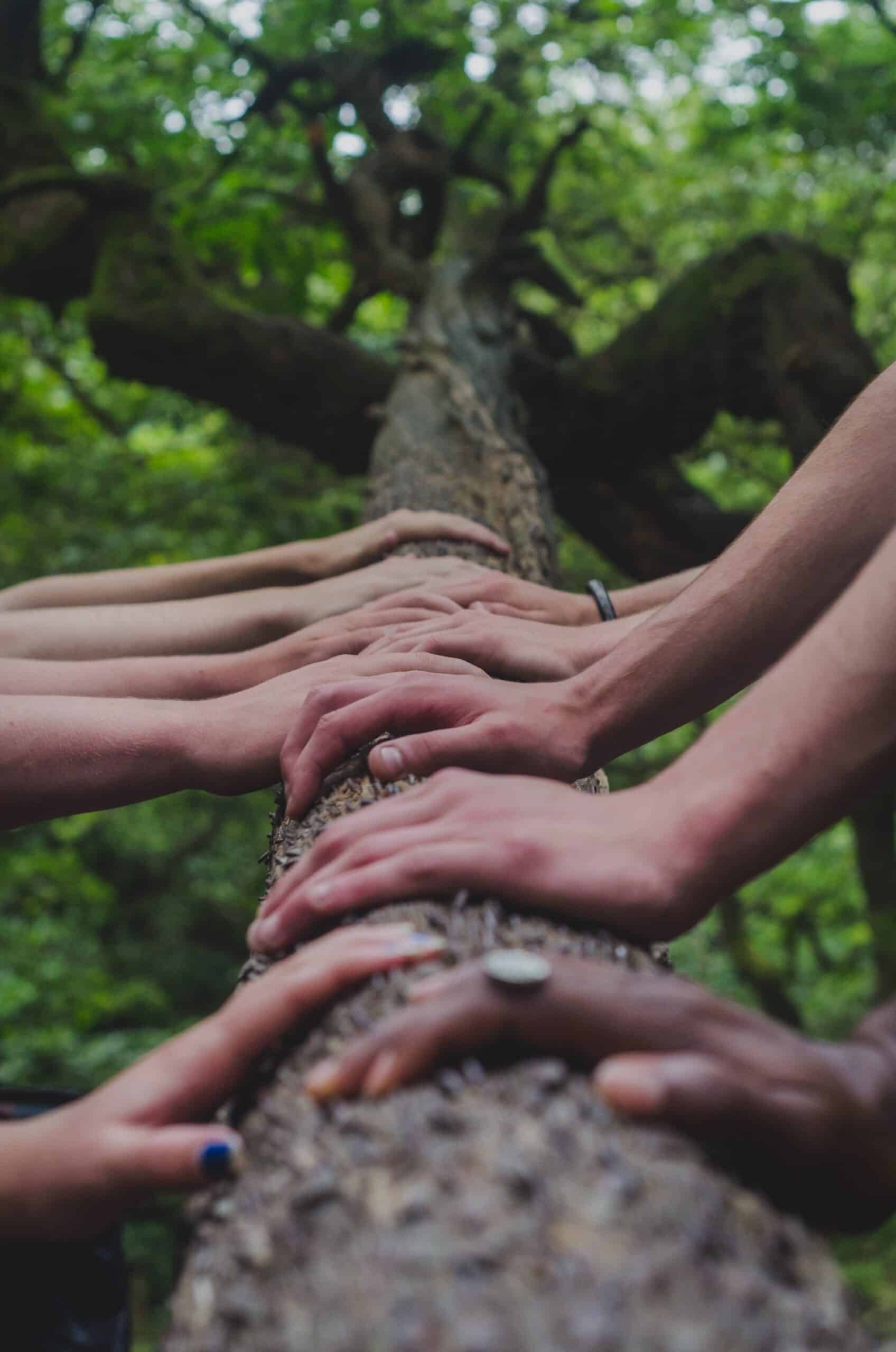 Beyond Healing and Caring